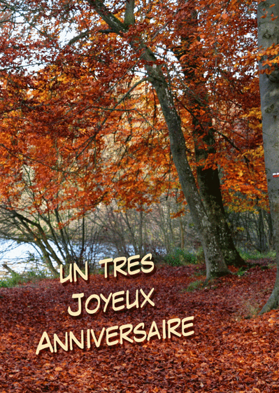 Carte Joyeux  Anniversaire  Dans Les Bois Envoyer une 